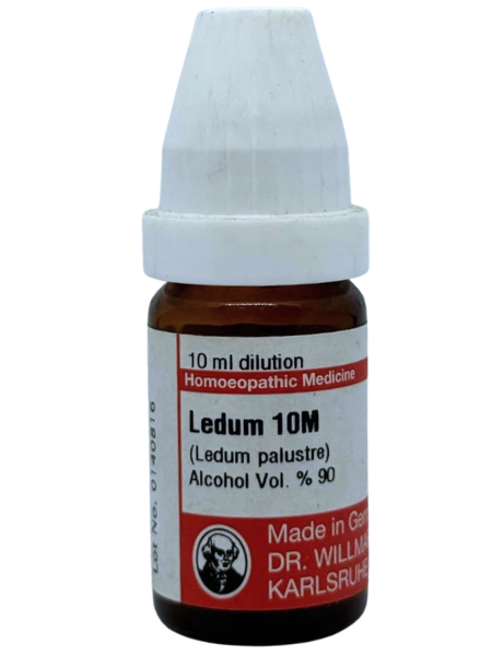 Ledum Palustre – Mother Tincture | Homoeopathic Remedy for Joint Pain, Puncture Wounds & Insect Bites