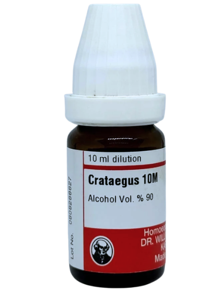 Crataegus Oxyacantha – Dr. Willmar Schwabe Germany (Original Homeopathic Medicine)