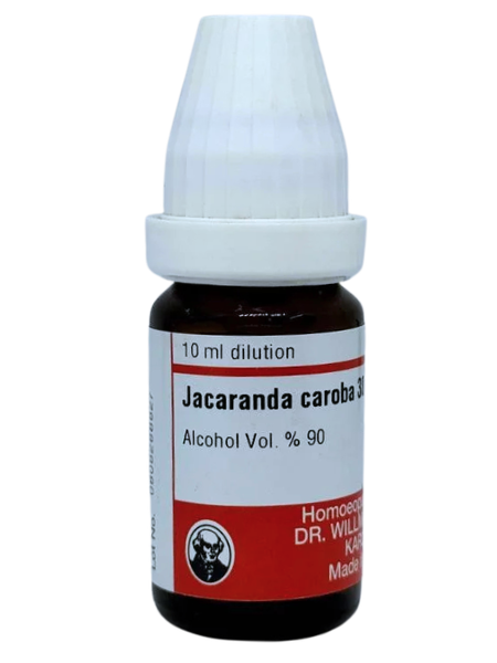 Jacaranda – Mother Tincture | Homoeopathic Remedy for Skin Diseases & Venereal Infections