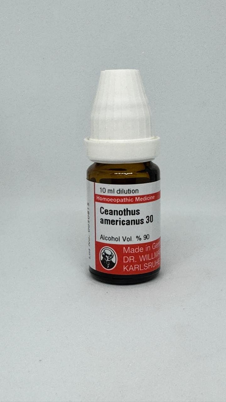 Ceanothus Americanus – Mother Tincture | Homoeopathic Remedy for Spleen Disorders, Anemia & Left-Sided Abdominal Pain