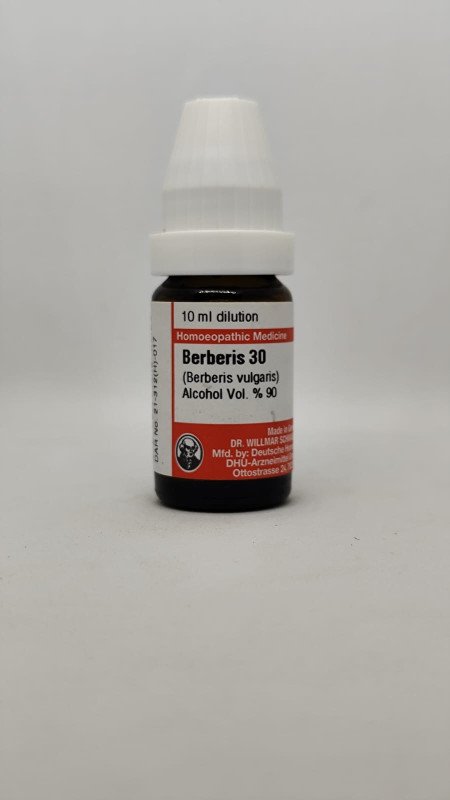 Berberis Vulgaris | DAR No: 21-312(H)-017 – Dr. Willmar Schwabe Germany (Original Homeopathic Medicine)