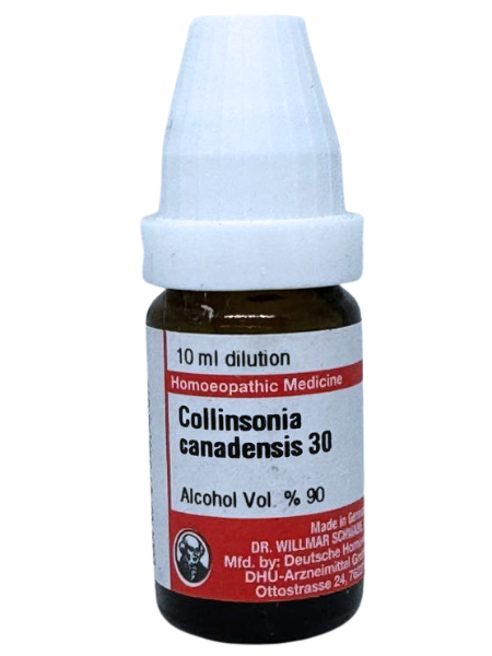 Collinsonia Canadensis – Dr. Willmar Schwabe Germany (Original Homeopathic Medicine)