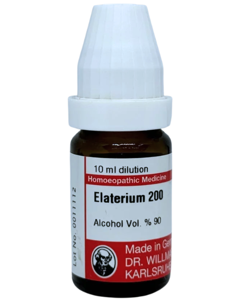 Elaterium Officinarum | DAR No: 21-366(H)-017 – Dr. Willmar Schwabe Germany (Original Homeopathic Medicine)