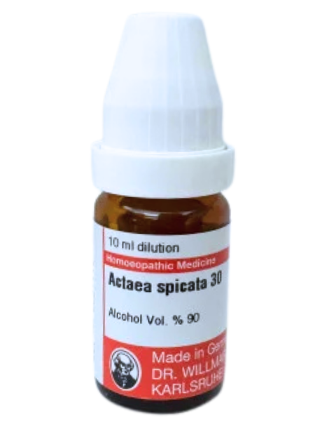 Actaea Racemosa – Dr. Willmar Schwabe Germany (Original Homeopathic Medicine)