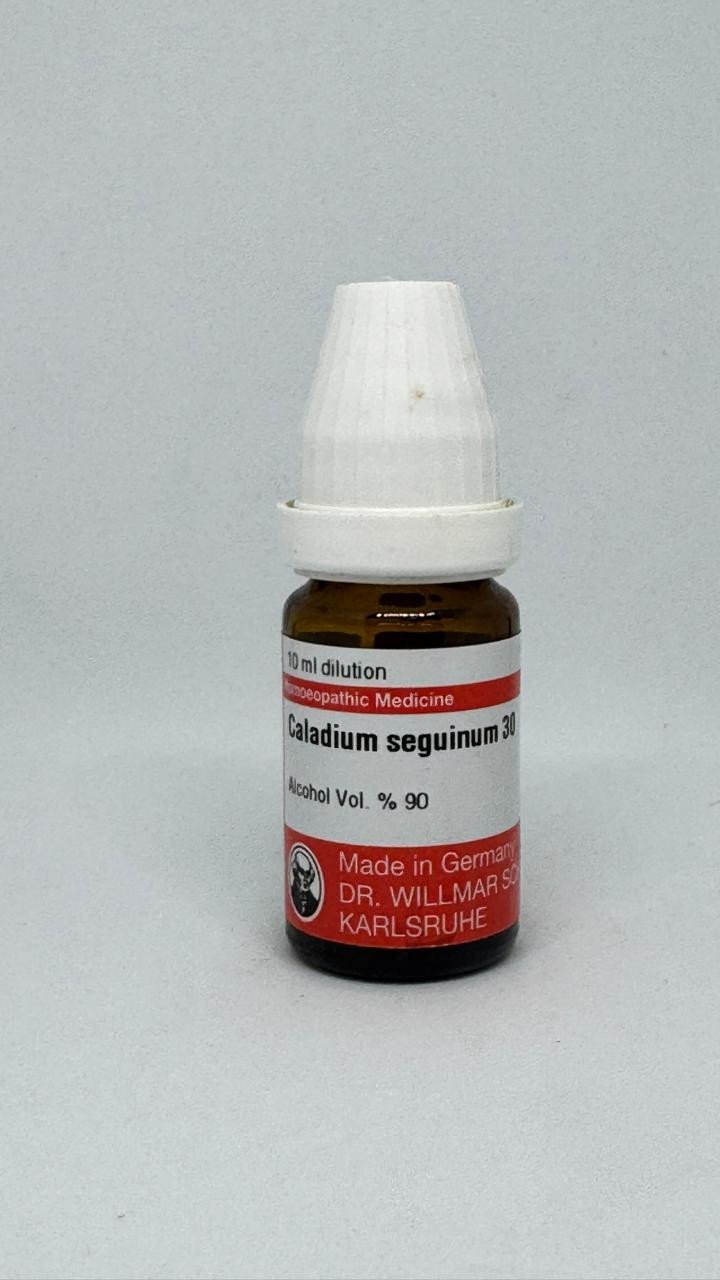 Caladium Seguinum – Mother Tincture | Homoeopathic Remedy for Sexual Weakness, Tobacco Craving & Nervous Exhaustion
