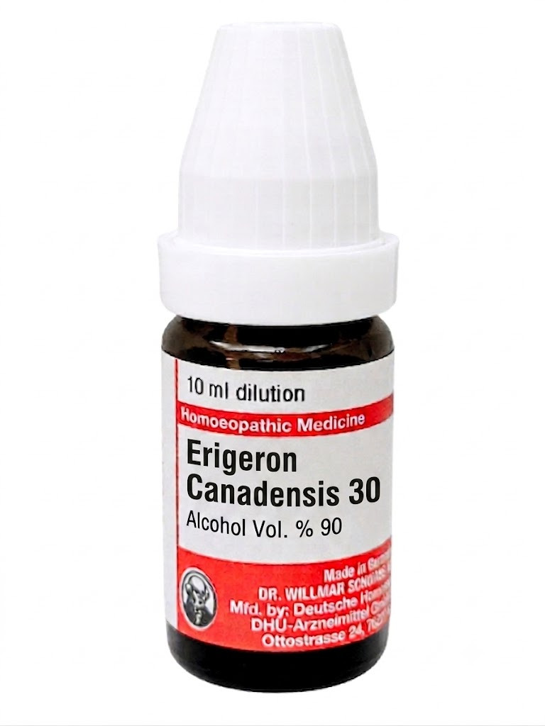 Erigeron Canadensis | DAR No: 21-368(H)-017 – Dr. Willmar Schwabe Germany (Original Homeopathic Medicine)
