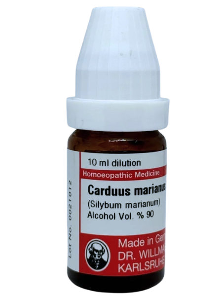 Carduus Marianus – Dr. Willmar Schwabe Germany (Original Homeopathic Medicine)