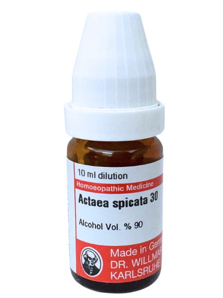 Actaea Spicata – Mother Tincture | Homoeopathic Remedy for Small Joint Pain, Swelling & Rheumatic Disorders