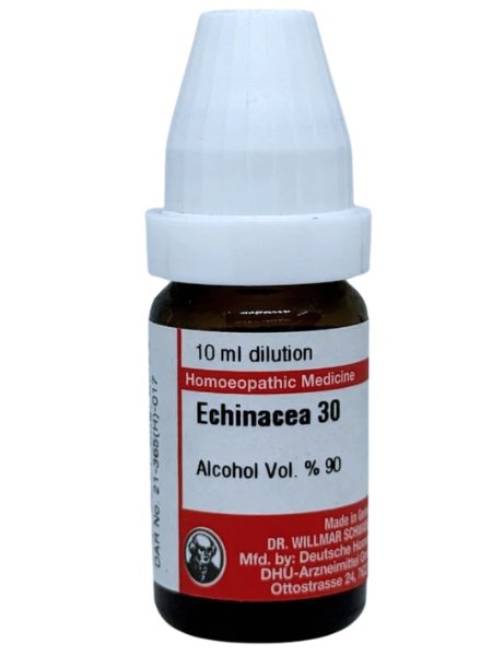 Echinacea Angustifolia | DAR No: 21-365(H)-017 – Dr. Willmar Schwabe Germany (Original Homeopathic Medicine)