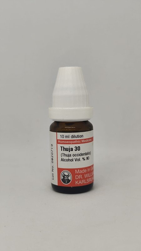Thuja – Mother Tincture | Skin, Wart & Immunity Remedy for Growths, Glands & Chronic Infections