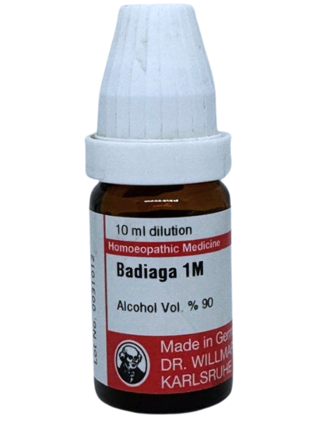 Badiaga – Dr. Willmar Schwabe Germany (Original Homeopathic Medicine)