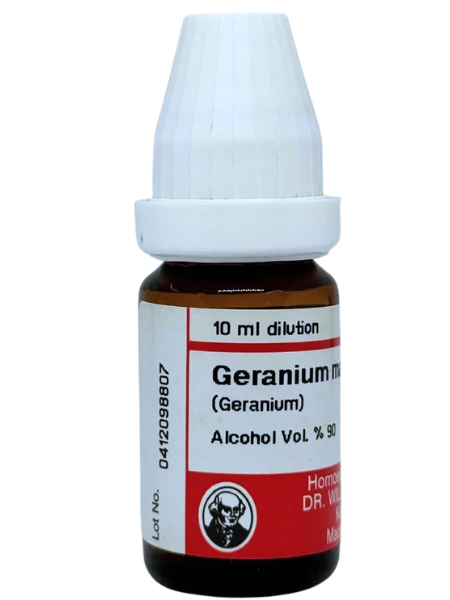 Geranium Maculatum | DAR No: 21-378(H)-017 – Dr. Willmar Schwabe Germany (Original Homeopathic Medicine)