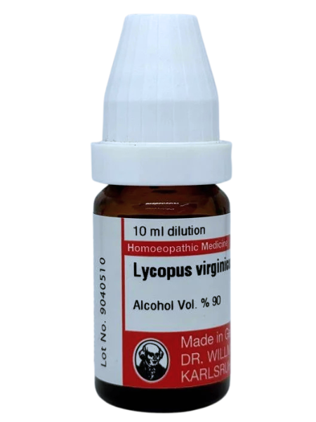 Lycopus Virginicus – Mother Tincture | Homoeopathic Remedy for Thyroid Imbalance, Heart Palpitations & Blood Pressure
