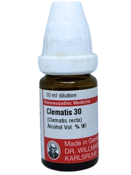 Clematis Erecta | DAR No: 21-343(H)-017 – Dr. Willmar Schwabe Germany (Original Homeopathic Medicine)