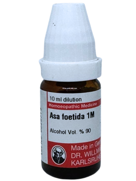 Asa Foetida – Dr. Willmar Schwabe Germany (Original Homeopathic Medicine)