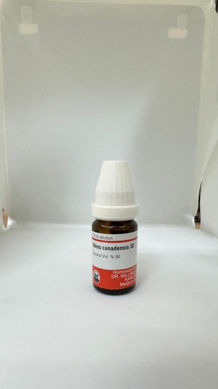 Abies Can – Mother Tincture | Homoeopathic Remedy for Low Appetite & Indigestion