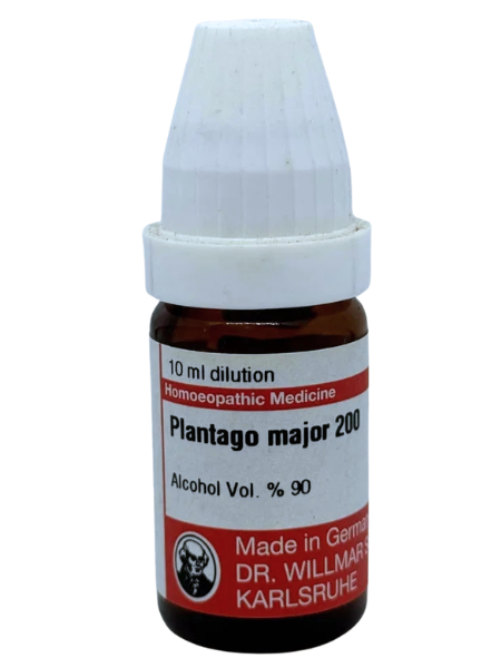 Plantago Major – Mother Tincture | Homoeopathic Relief for Toothache, Earache & Wound Healing