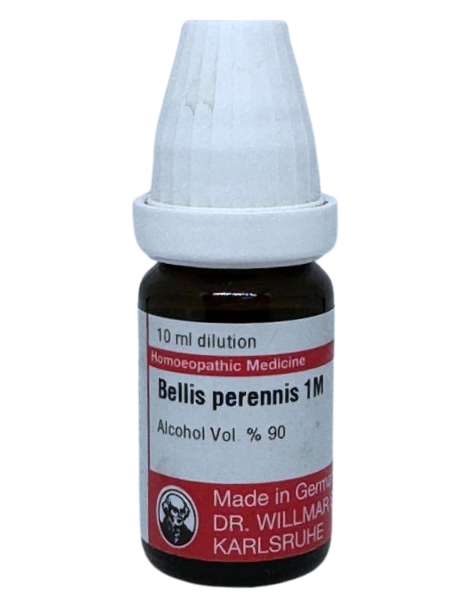 Bellis Perennis – Dr. Willmar Schwabe Germany (Original Homeopathic Medicine)