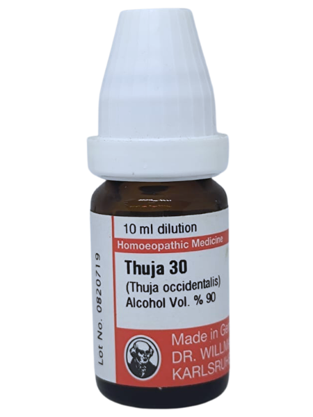 Thuja – Mother Tincture | Skin, Wart & Immunity Remedy for Growths, Glands & Chronic Infections