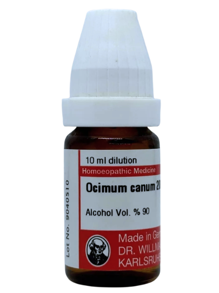 Ocimum Canum – Mother Tincture | Homoeopathic Remedy for Renal Colic, Kidney Stones & Urinary Troubles