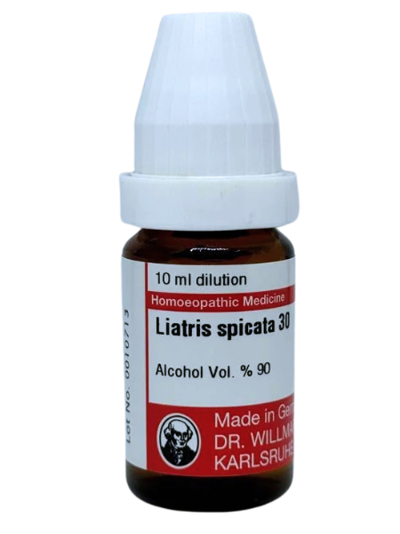 Liatris Spicata – Mother Tincture | Homoeopathic Remedy for Kidney Health, Edema & General Debility