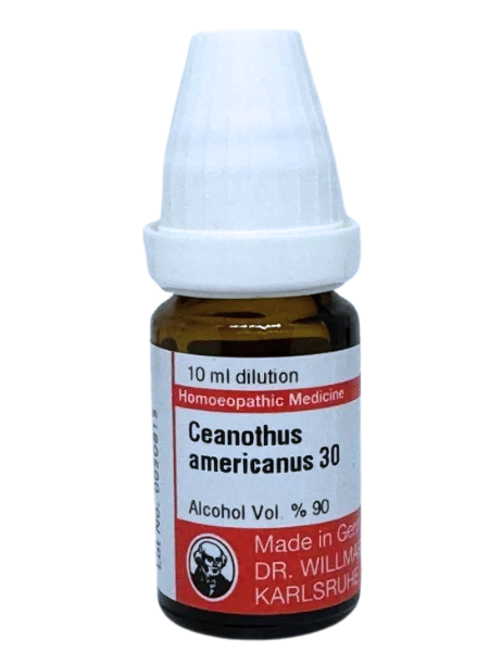 Ceanothus Americanus – Mother Tincture | Homoeopathic Remedy for Spleen Disorders, Anemia & Left-Sided Abdominal Pain