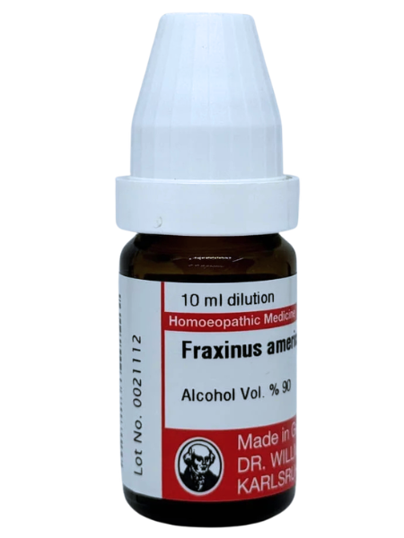 Fraxinus Americana | DAR No: 21-374(H)-017 – Dr. Willmar Schwabe Germany (Original Homeopathic Medicine)