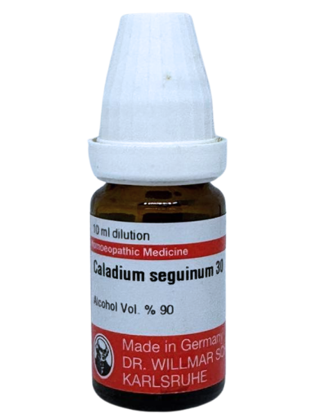 Caladium Seguinum – Dr. Willmar Schwabe Germany (Original Homeopathic Medicine)