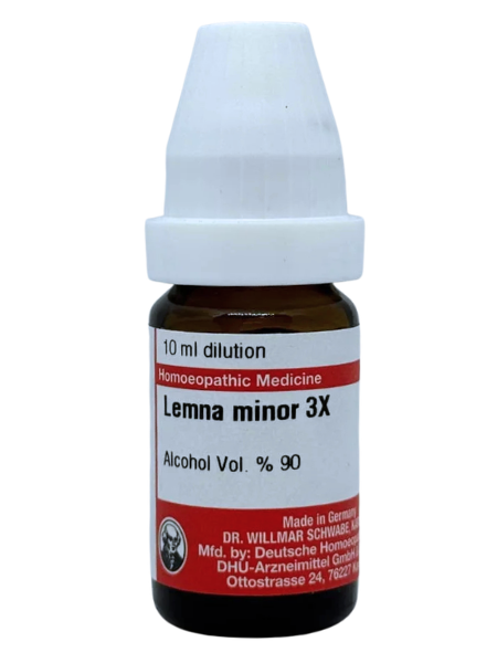 Lemna Minor – Mother Tincture | Homoeopathic Remedy for Nasal Polyps, Sinusitis & Allergic Rhinitis