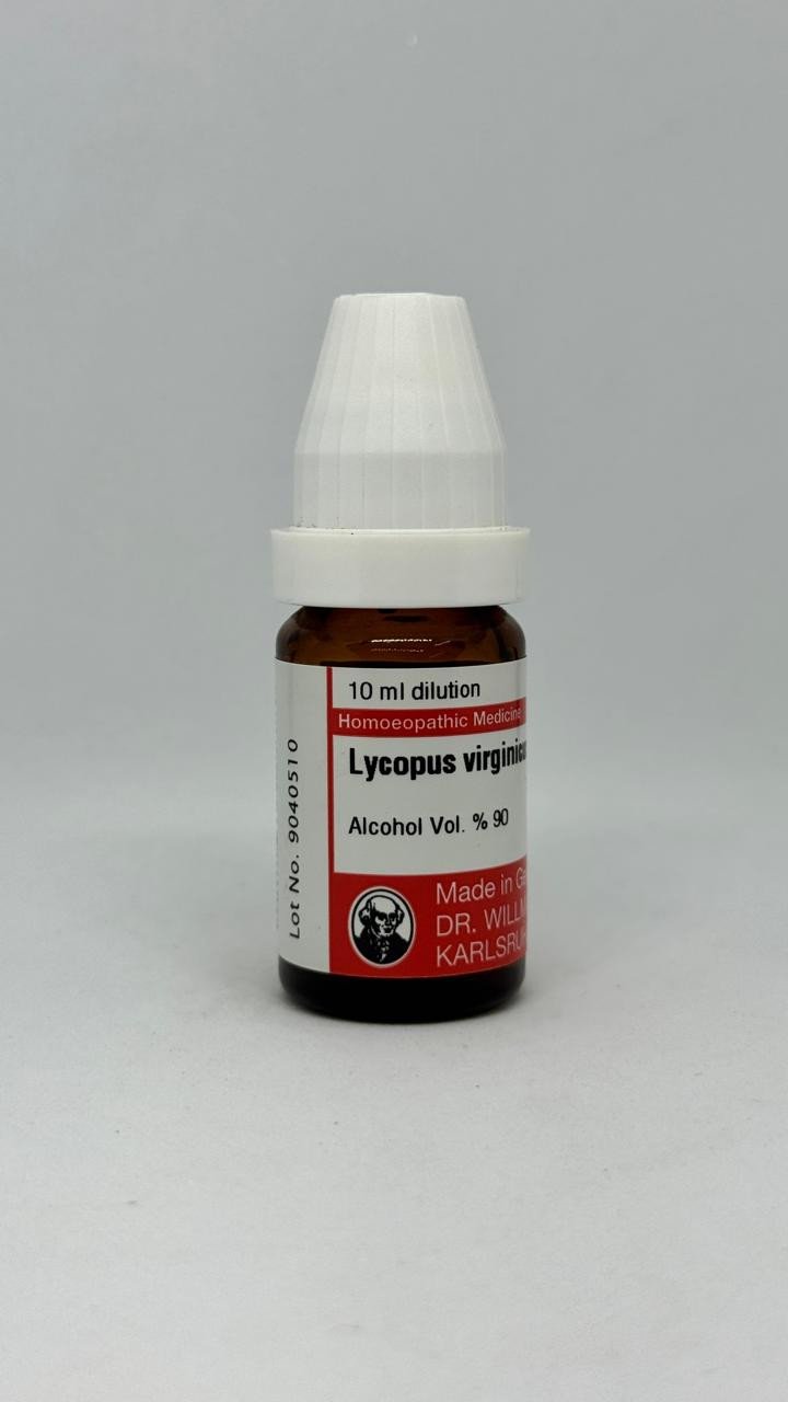 Lycopus Virginicus – Mother Tincture | Homoeopathic Remedy for Thyroid Imbalance, Heart Palpitations & Blood Pressure