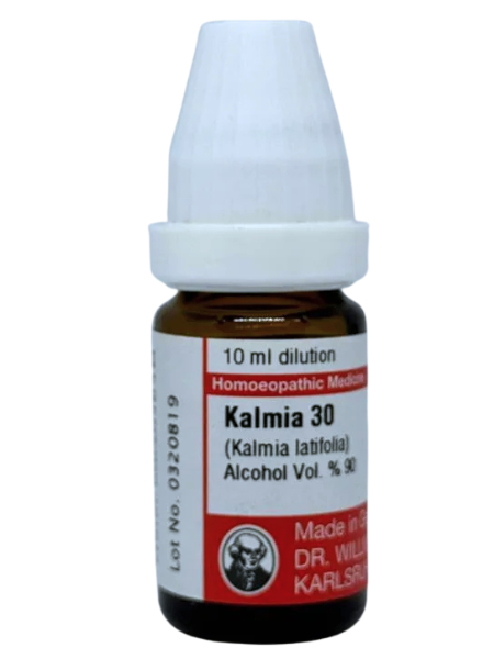 Kalmia Latifolia – Mother Tincture | Homoeopathic Remedy for Neuralgia, Heart Pain & Rheumatic Conditions