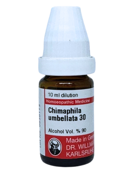 Chimaphila – Mother Tincture | Homoeopathic Remedy for Prostate, Urinary Retention & Chronic Urinary Infections