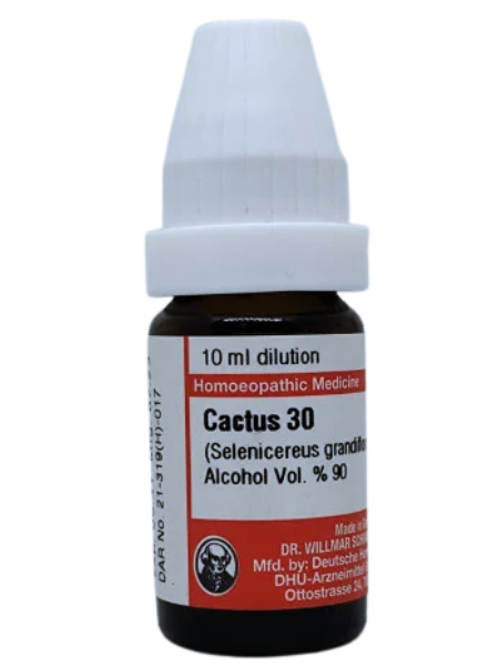 Cactus Grandiflorus – Dr. Willmar Schwabe Germany (Original Homeopathic Medicine)