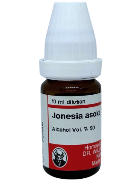 Jonesia Asoka – Mother Tincture | Women’s Health Tonic for Irregular Periods, Menstrual Pain & Uterine Health