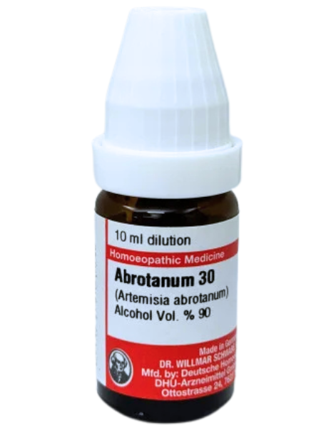 Abrotanum – Mother Tincture | Homoeopathic Remedy for Wasting Diseases & Rheumatic Pain