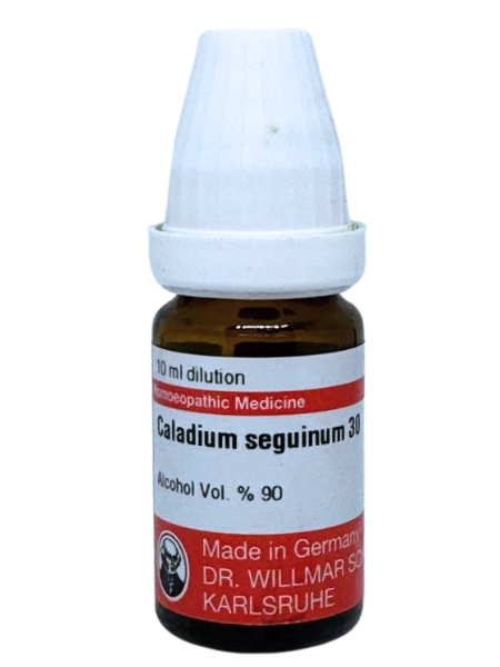 Caladium Seguinum – Mother Tincture | Homoeopathic Remedy for Sexual Weakness, Tobacco Craving & Nervous Exhaustion