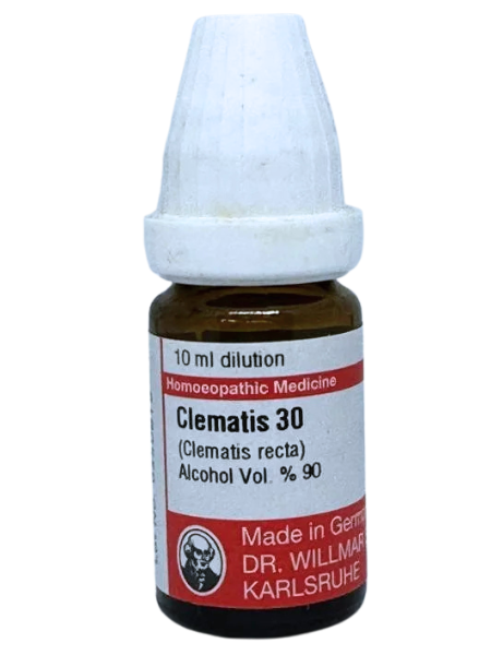 Clematis Erecta – Mother Tincture | Homoeopathic Remedy for Skin Eruptions, Glandular Swelling & Urinary Issues