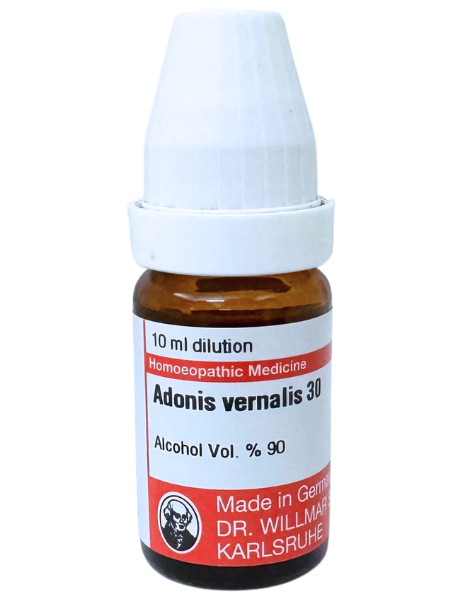 Adonis Ver – Mother Tincture | Homoeopathic Remedy for Heart Weakness, Dropsy & Irregular Pulse