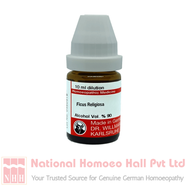 Ficus Religiosa | DAR No: 21-371(H)-017 – Dr. Willmar Schwabe Germany (Original Homeopathic Medicine)