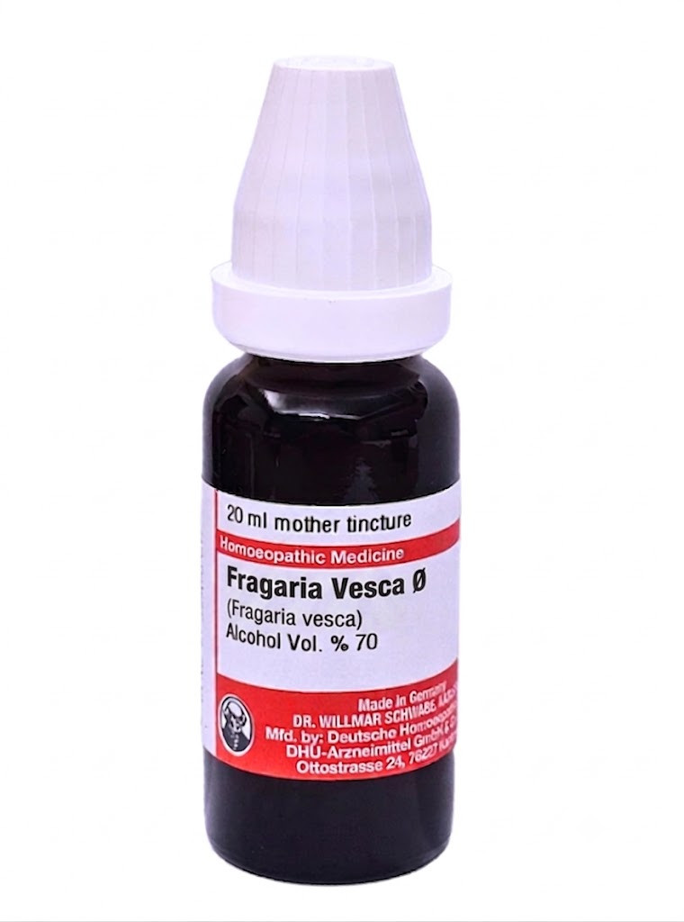 Fragaria Vesca – Mother Tincture | Homoeopathic Remedy for Tartar, Tooth Decay & Digestion Support