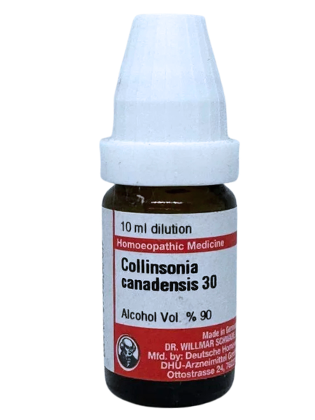 Collinsonia Canadensis – Mother Tincture | Homoeopathic Remedy for Piles, Constipation & Varicose Veins