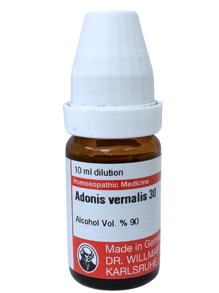Adonis Vernalis – Dr. Willmar Schwabe Germany (Original Homeopathic Medicine)