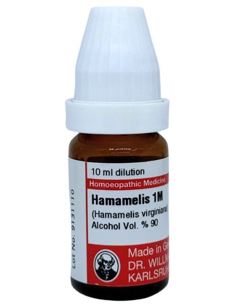 Hamamelis Virginiana – Mother Tincture | Homeopathic Remedy for Varicose Veins, Hemorrhoids & Bleeding Disorders