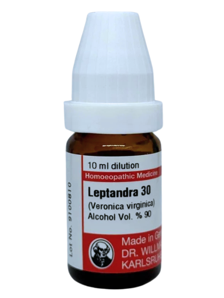 Leptandra Virginica – Mother Tincture | Homoeopathic Liver Tonic for Jaundice, Hepatitis & Bilious Conditions