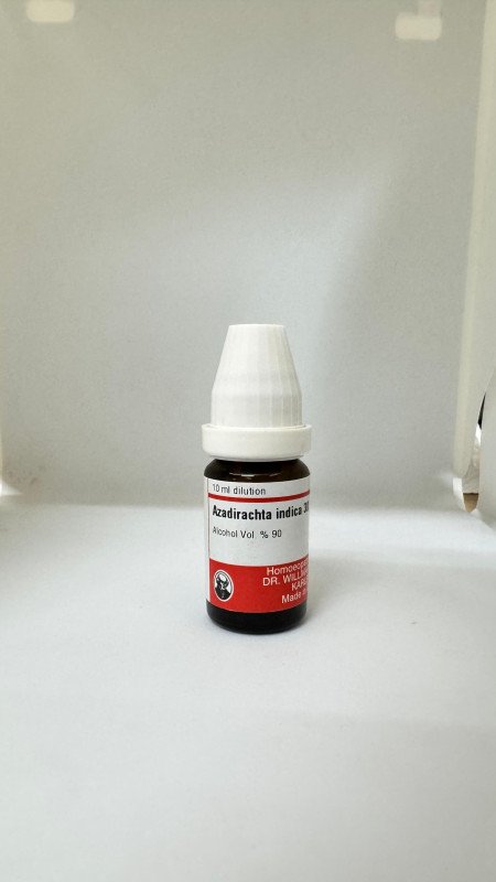 Azadirachta Indica | DAR No: 21-304(H)-017 – Dr. Willmar Schwabe Germany (Original Homeopathic Medicine)