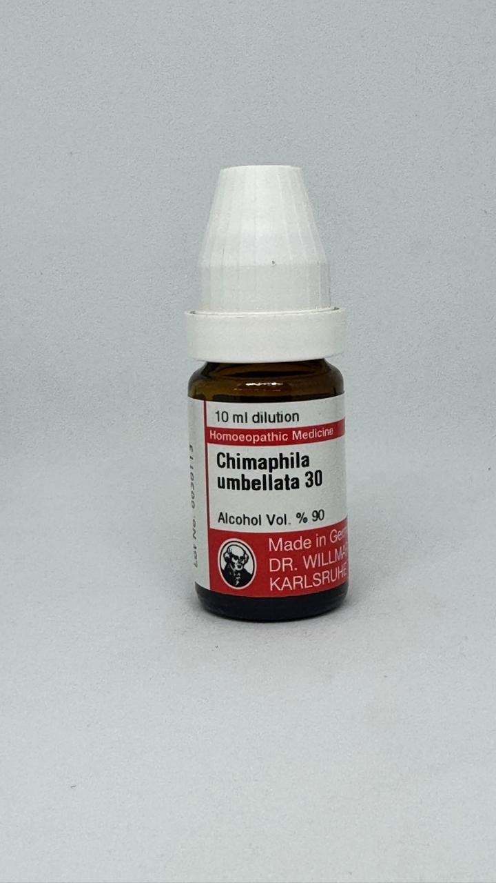 Chimaphila – Mother Tincture | Homoeopathic Remedy for Prostate, Urinary Retention & Chronic Urinary Infections