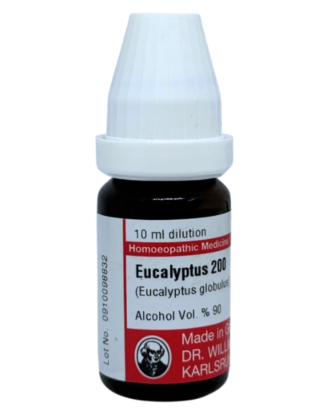 Eucalyptus Globulus – Mother Tincture | Homoeopathic Remedy for Respiratory Disorders & Cough Relief