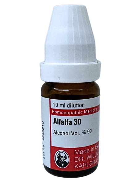 Alfalfa – Dr. Willmar Schwabe Germany (Original Homeopathic Medicine)
