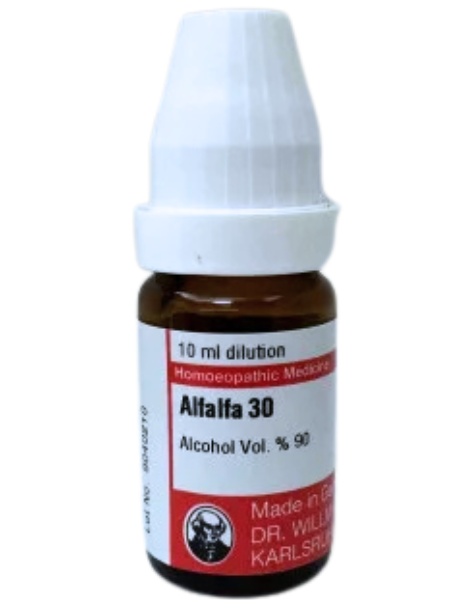 Alfalfa – Mother Tincture | Natural Tonic for Appetite, Energy & Weight Gain