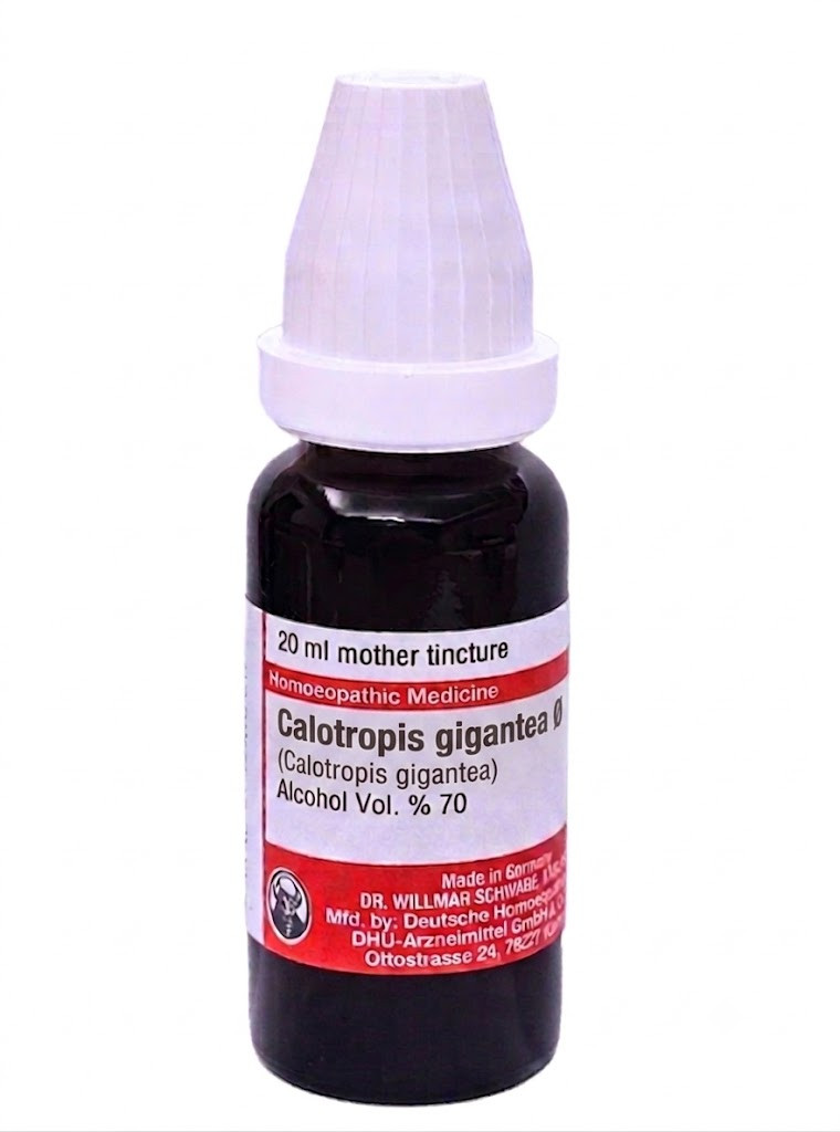 Calotropis gigantea (Madar) – Mother Tincture | Homoeopathic Remedy for Skin Conditions, Glandular Swelling & Fever